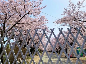 震災から10年　福島の人々の今