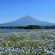 世界遺産　富士山のパワー