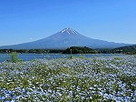 世界遺産　富士山のパワー