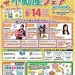 9/14 (日)不動産フェアで風水トークショーを開催します！